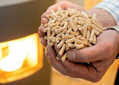 The Status and Prospect of Development in China's Biomass Energy