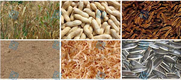 biomass raw materials