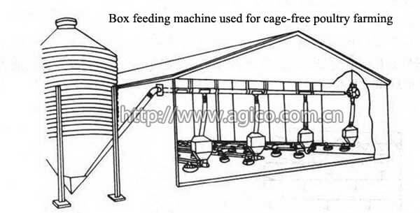 box feeding machine used for cage free poultry farming