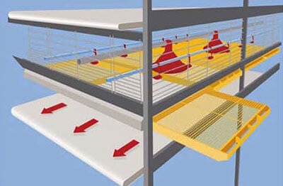 broiler cage pull out design