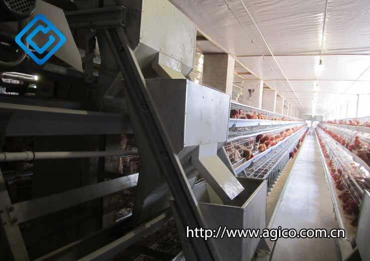 chicken feeder on poultry farm equipment price list