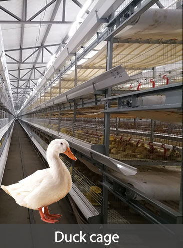 duck cages indoor