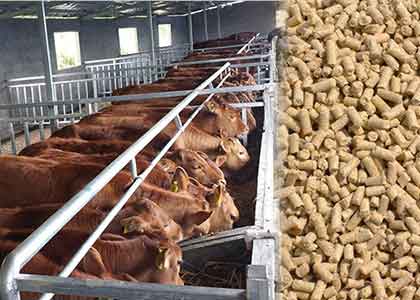 Benefits Of Using A Feed Pellet Mill