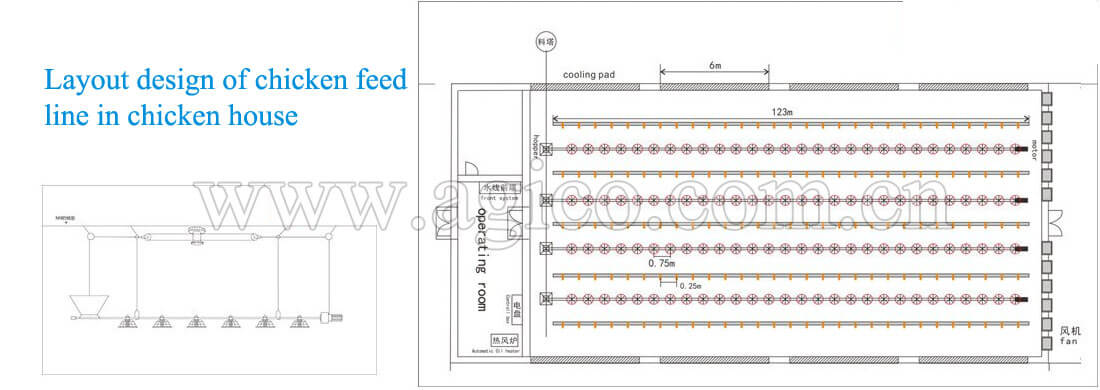 layout design of chicken feed line for chicken house 