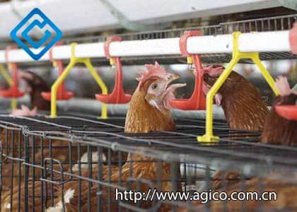 The Advantages of Modern Poultry Equipment for Your Farming Operation