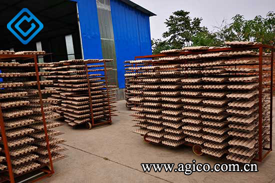 natural drying for single-sided egg tray moulding machine 