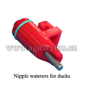 nipple waterers for ducks 