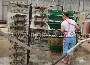 one-side Egg tray machine in production 