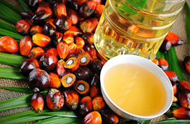 Palm oil