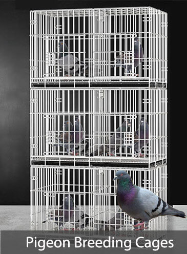 pigeon breeding cages