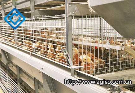 poultry brooder cage