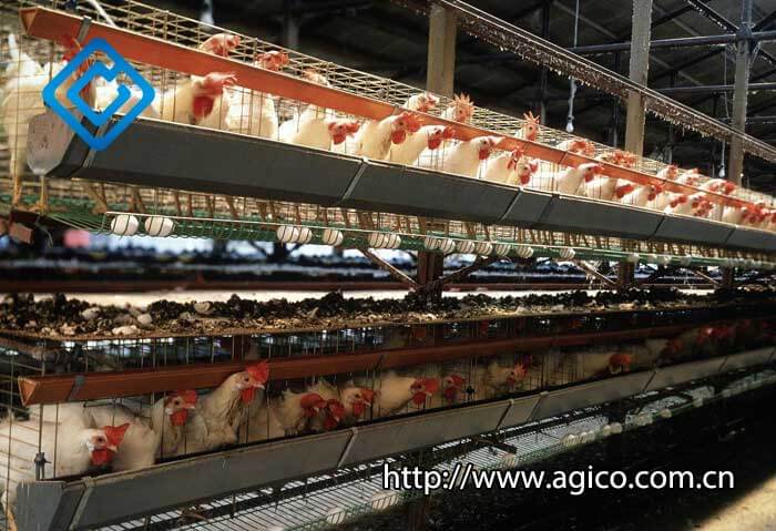 poultry farm equipment cost