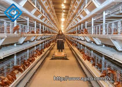 How to Make Your Poultry Farm Equipment Budget Price List