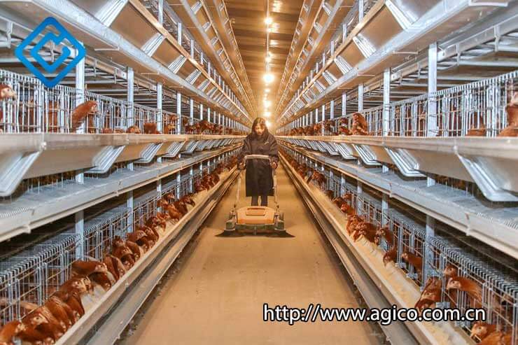 How to Make Your Poultry Farm Equipment Budget Price List