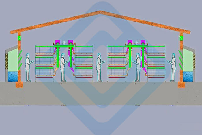 Broiler Poultry House Plans for 5000 Chickens