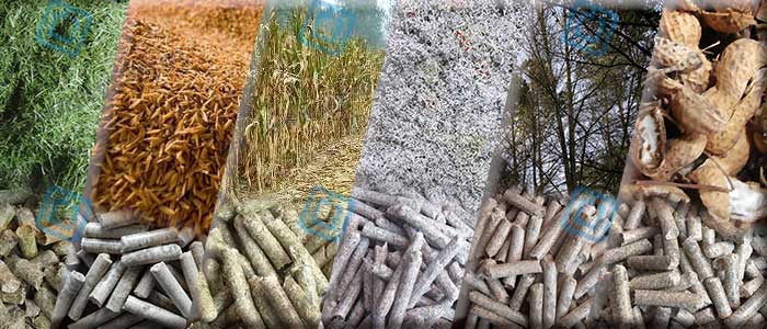 The Raw Materials of Small Biomass Pellet Production Line
