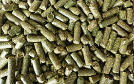 Reed pellets