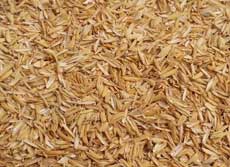 rice husk