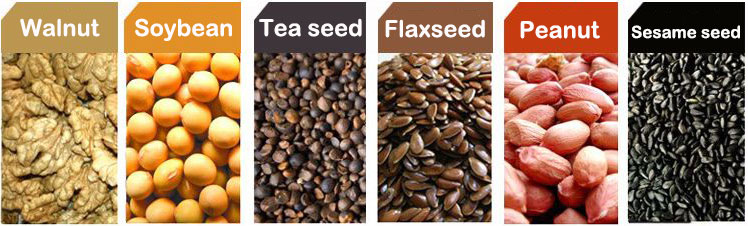 Variety of edible oilseeds